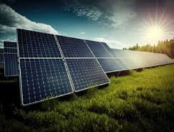 Batam Menuju Kota Energi Terbarukan: Proyek PLTS Segera Dibangun di Pulau Bulan