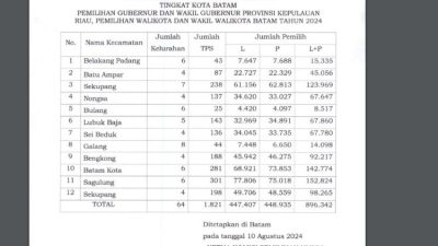Sagulung Dominasi Jumlah Pemilih Terbanyak di Batam, DPS Pilkada 2024 Sebanyak 896.342 Orang