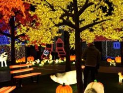 Illumi Singapura: Atraksi Malam Instagramable dengan 20 Juta Lampu LED, Buka hingga Februari 2025