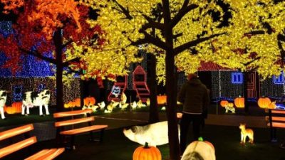 Illumi Singapura: Atraksi Malam Instagramable dengan 20 Juta Lampu LED, Buka hingga Februari 2025