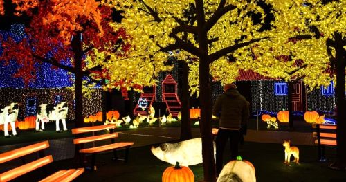 Illumi Singapura: Atraksi Malam Instagramable dengan 20 Juta Lampu LED, Buka hingga Februari 2025