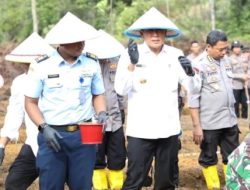 Pjs Wali Kota Andi Agung dan Kapolda Kepri Tanam Jagung di Nongsa, Dukung Ketahanan Pangan di Kepri