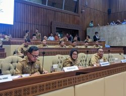 Rapat di DPR RI, Hj Marlin Agustina Rudi Tegaskan Kesiapan Kepri Hadapi Pilkada