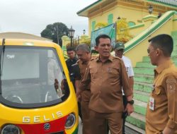 Dukung Kawasan Ramah Lingkungan, Pemprov Kepri Ganti Becak Motor di Pulau Penyengat dengan Kendaraan Listrik