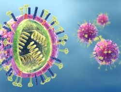 Belum Ada Kasus HMPV di Batam, Dinkes Imbau Masyarakat Tetap Waspada