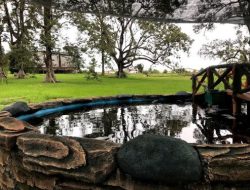 Citra Kebun Wisata: Destinasi Hits di Batam yang Padukan Alam, Edukasi, dan Kesenangan