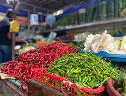 Harga Cabai di Batam Melonjak hingga Rp100 Ribu per Kilogram, Masyarakat Khawatir Jelang Ramadan