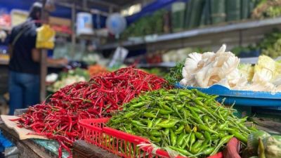 Harga Cabai di Batam Melonjak hingga Rp100 Ribu per Kilogram, Masyarakat Khawatir Jelang Ramadan