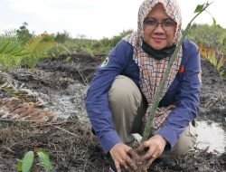 Perempuan Pemimpin di Riau: Ini Daftar Bupati dan Wabup Terpilih Beserta Profil Kekayaan