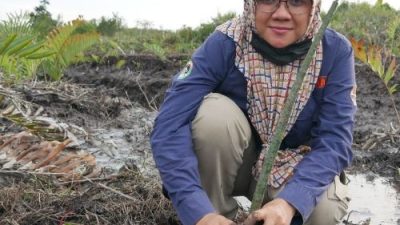 Perempuan Pemimpin di Riau: Ini Daftar Bupati dan Wabup Terpilih Beserta Profil Kekayaan