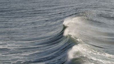 BMKG Prediksi Cuaca Hujan dan Angin Kencang di Kepri, Waspadai Gelombang Tinggi di Laut