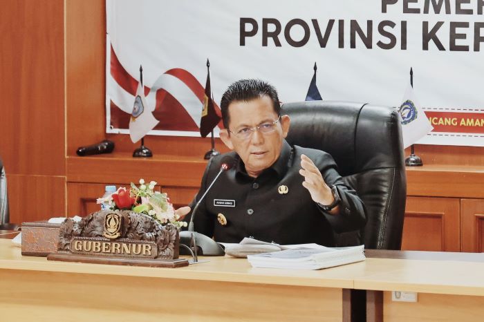 Investasi di Kepri Diproyeksikan Meningkat, Gubernur Ansar Dorong Optimalisasi Kawasan PBPB