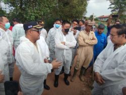 Ketua DPRD Kepri Desak Penutupan Penangkaran Buaya di Pulau Bulan, Dinilai Berbahaya dan Tak Berkontribusi ke Daerah