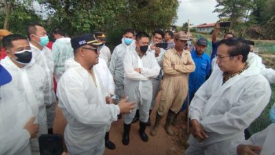 Ketua DPRD Provinsi Kepulauan Riau, Iman Sutiawan, meminta usaha penangkaran buaya milik PT Perkasa Jagat Karunia (PJK) di Pulau Bulan, Kota Batam, ditutup