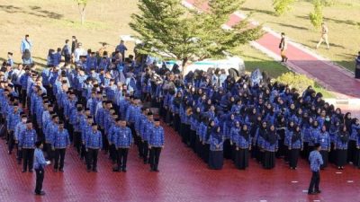 Pemprov Kepri Rumahkan 120 Honorer, Bukan Karena Efisiensi Anggaran