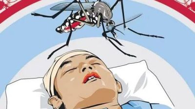 Tiga Kecamatan di Batam Jadi Zona Merah DBD, Dinkes Perketat Pengawasan