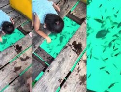 Unik! Warga Pulau Tambelan Bintan Bisa Memancing Langsung dari Dalam Rumah