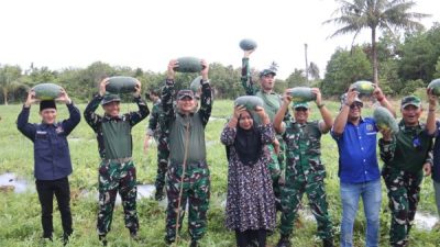 Kolaborasi TNI dan PWI Kepri: Panen Raya Semangka dan Penguatan Ketahanan Pangan di Bintan