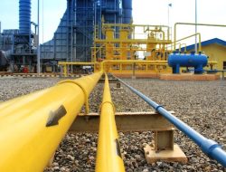 Batam Terancam Gelombang PHK, Apindo Desak Tunda Kenaikan Tarif Energi