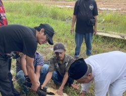 Tiga Kambing Disembelih, PWI Batam Selenggarakan Kurban