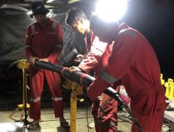 Telkom Pastikan Layanan IndiHome dan Telkomsel di Pulau Burung Kembali Stabil