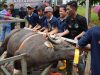 Semarak Idul Adha 1447 Hijriah, BP Batam Sembelih 33 Hewan Kurban Tingkatkan Kepedulian Sosial